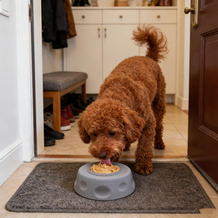 Dog Lick Bowl with Rolling Ball, Blue 2-Pack