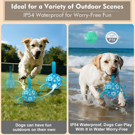 Interactive Blue Dog Soccer Ball with Straps, USB Rechargeable