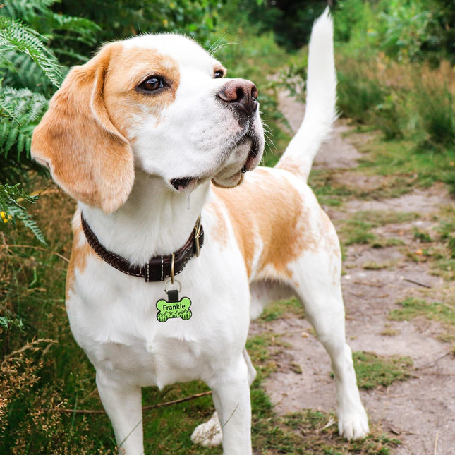 Personalized Silent Silicone Pet ID Tags