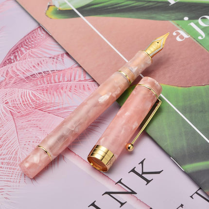 Classic Pink Marble Acrylic Fine Point Fountain Pen with Converter, Gold Trim and Pen Case Set