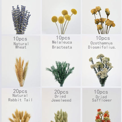 DIY Natural Dried Flower Set in Brown