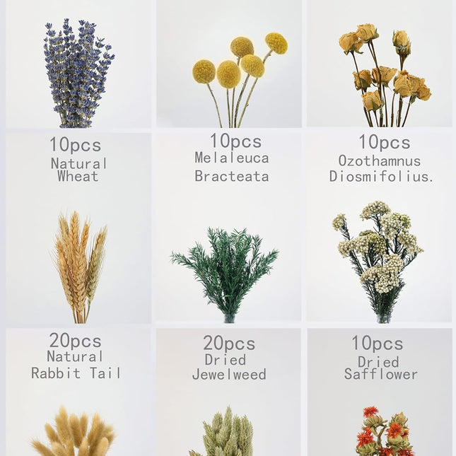 DIY Natural Dried Flower Set in Brown