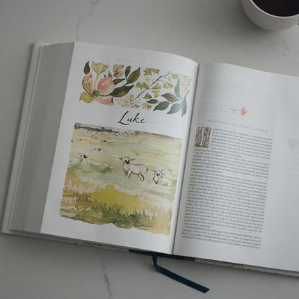 Hardcover Journaling Bible with Watercolor Artwork