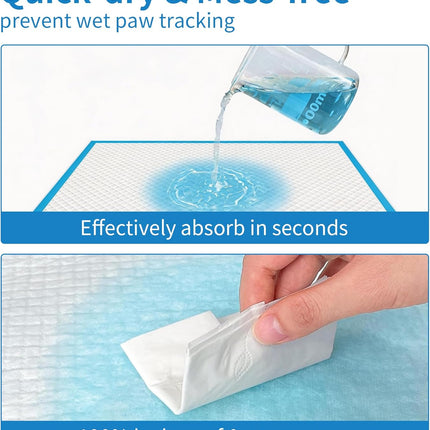 6-Layer Disposable Dog Training Pads, 40 Count, 23 x 23 Inch
