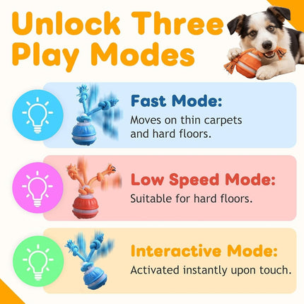 Interactive Dog Ball Toy with Squeaky Birdsong Sound