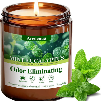 Mint Eucalyptus Odor Eliminating Soy Wax Jar Candle