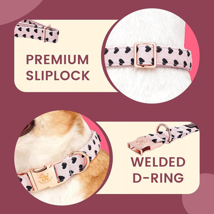 Cute Floral Cotton Dog Collar with Flower