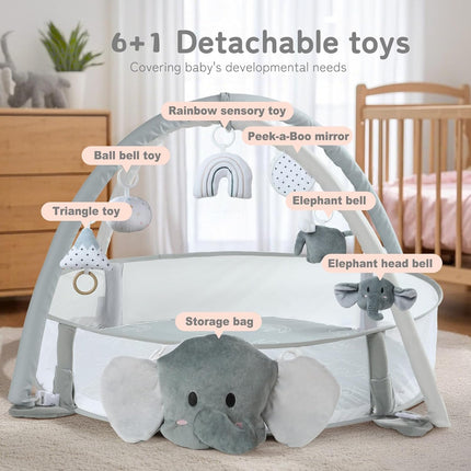 5-in-1 XL Baby Gym, Play Mat & Ball Pit with Milestone Cards
