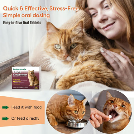 Dewormer for Cats & Kittens, Fenbendazole for Tapeworms, Roundworms & Hookworms - 60 Tablets