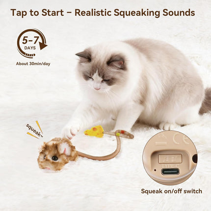 Interactive 360° Rolling Cat Toy with Squeak