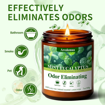 Mint Eucalyptus Odor Eliminating Soy Wax Jar Candle