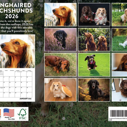 Long-Haired Dachshund 2026 Monthly Wall Calendar