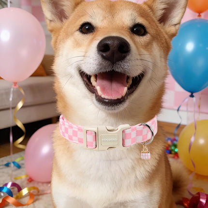 Pink Checked Dog Collar for Small Dogs