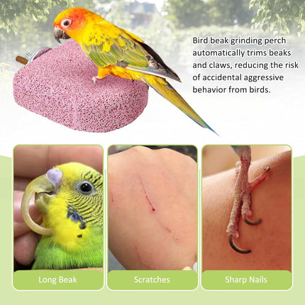 4-Piece Bird Beak Grinding Stone Chew Toy Set