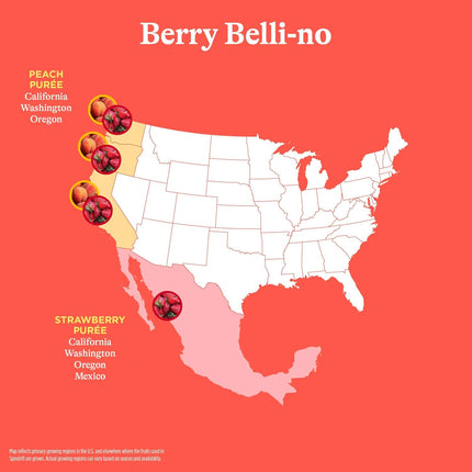 Berry Flavored Sparkling Water