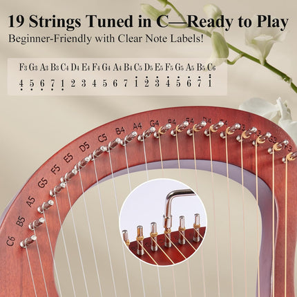 19-String Mahogany Lyre Harp Kit for Beginners and Adults