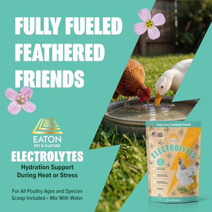ZenPulse PulsoZen Eaton Pet & Pasture Poultry Electrolytes Powder for Chickens & Chicks — Health & Wellness