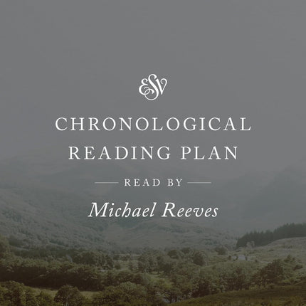 Audio Bible with Chronological Reading Plan