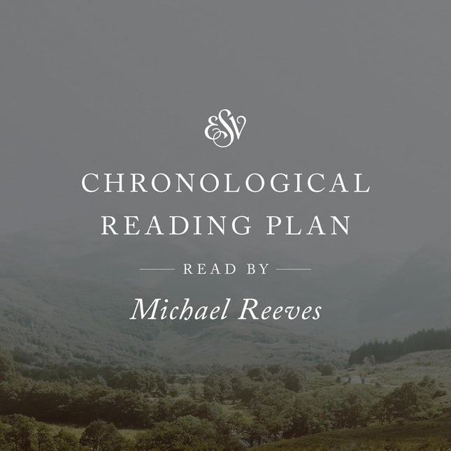 Audio Bible with Chronological Reading Plan