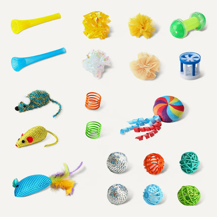 Cat Toy Set, 20-Piece Variety Pack with Teaser, Ball, Feather, and Spring