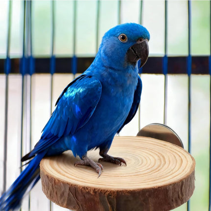 6-Piece Natural Wood Bird Perches for Cages