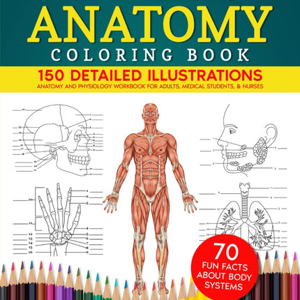 Human Anatomy Coloring Book for Adults, Medical Students & Nurses