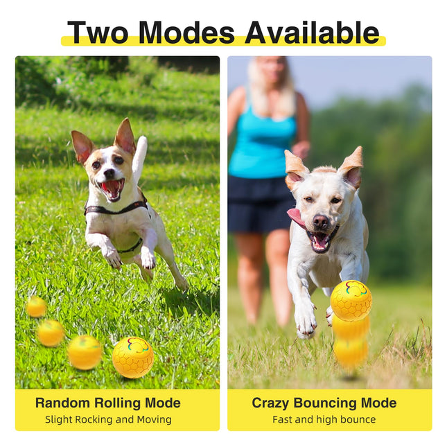 Auto rolling LED dog ball toy with glowing lights for indoor play