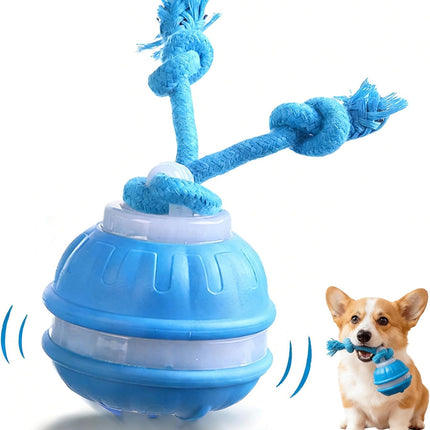 Interactive Dog Ball Toy with Squeaky Birdsong Sound