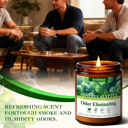 Mint Eucalyptus Odor Eliminating Soy Wax Jar Candle