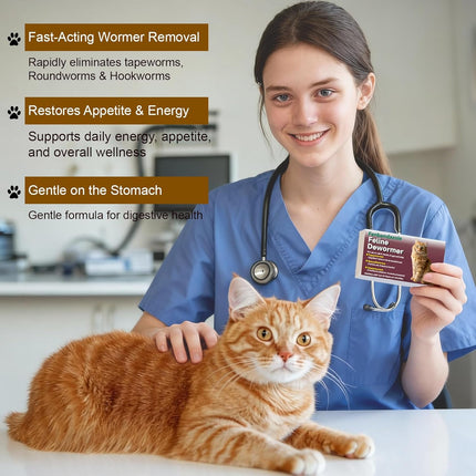 Dewormer for Cats & Kittens, Fenbendazole for Tapeworms, Roundworms & Hookworms - 60 Tablets
