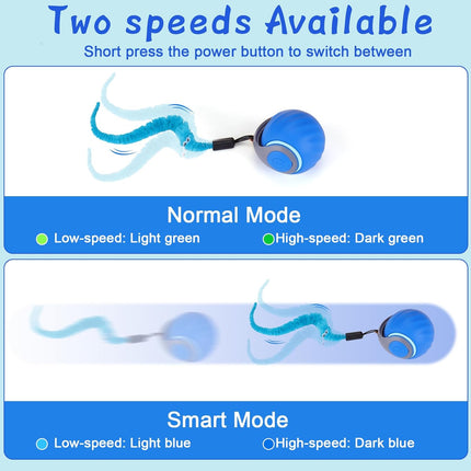 Interactive Rechargeable Cat Toy Ball with 3 Tails, Blue