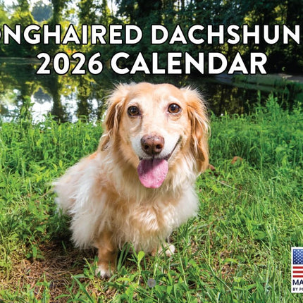 Long-Haired Dachshund 2026 Monthly Wall Calendar