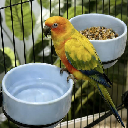 2-Piece Blue Ceramic Bird Food Bowl Set