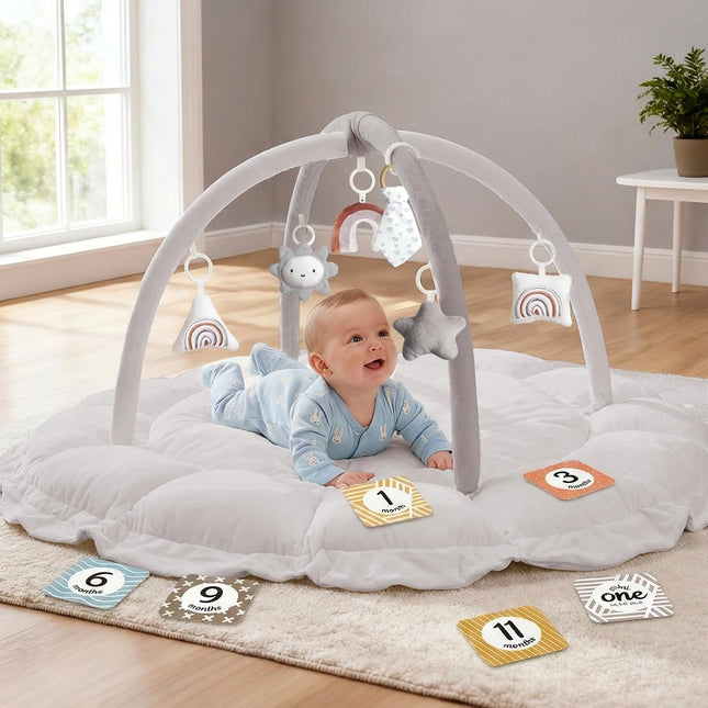 5-in-1 Thick & Plush Baby Play Gym with Tummy Time Mat, 6 Toys, Ball Pit & Pet Cushion, Grey