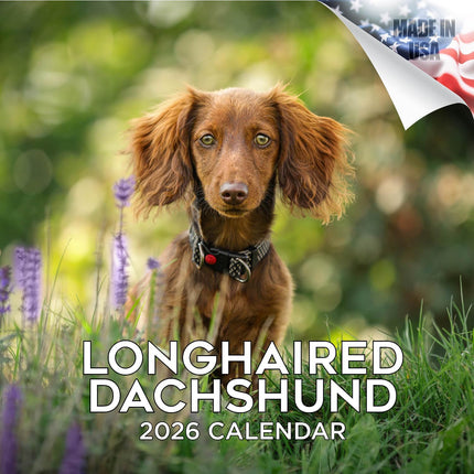 Longhaired Dachshund 2026 16-Month Wall Calendar