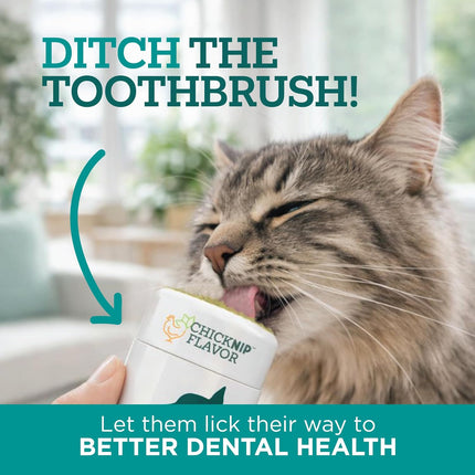 Dental Gel for Cats, Cleans Teeth and Freshens Breath