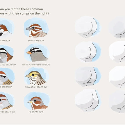 Extremely Accurate Birds: An Anatomically Precise Field Guide to Common Backyard Birds of North America