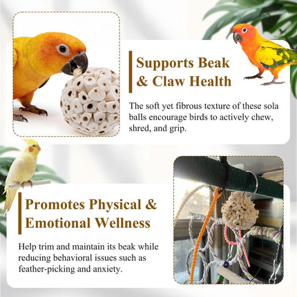 6-Pack Natural Sola Ball Bird Chew Toys, 2.36 in
