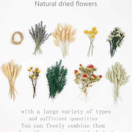 DIY Natural Dried Flower Set in Brown