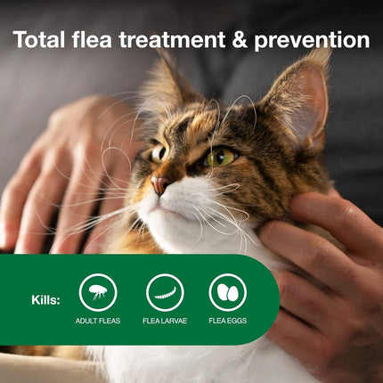 Large Cat Flea Treatment & Prevention Drops | Cats Over 9 lbs. | 6-Month Supply