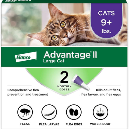 Large Cat Flea Treatment & Prevention Drops | Cats Over 9 lbs. | 2-Month Supply