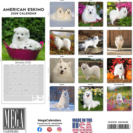 American Eskimo 2026 16-Month Dog Wall Calendar