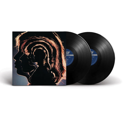 Hot Rocks 1964-1971 [180g 2 LP]