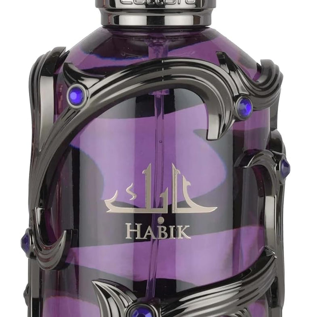 Habik Spicy Aromatic Woody Eau de Parfum for Men, 3.4 oz