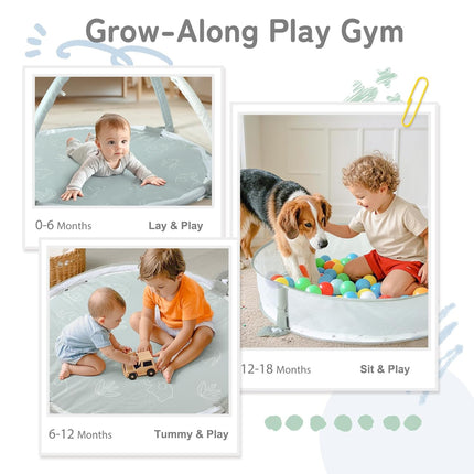 5-in-1 XL Baby Gym, Play Mat & Ball Pit with Milestone Cards