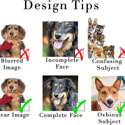 PawHaven RefugioPata Face Socks – Personalized Dog, Cat & Human Photo Socks — Pet Supplies