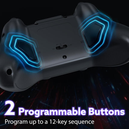 2.4G Wireless Gaming Controller with Hall Effect Triggers, USB Dongle, Programmable Buttons, Black