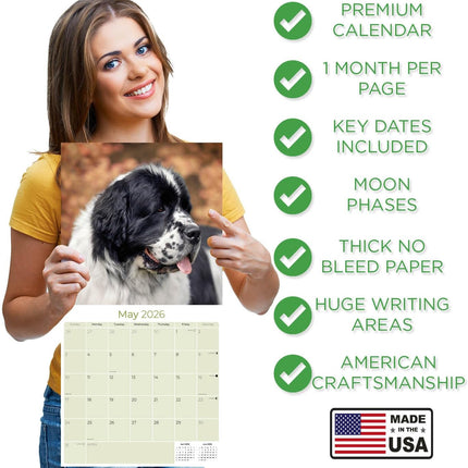 Newfoundland Calendar 2027 - 16 Month Dog Wall Calendar