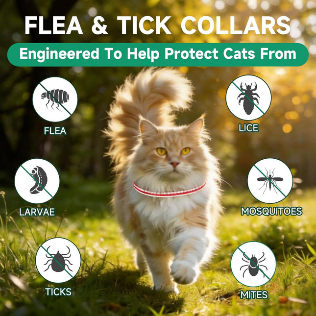4 Pack Cat Flea Collars, Red and White