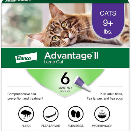 Large Cat Flea Treatment & Prevention Drops | Cats Over 9 lbs. | 6-Month Supply